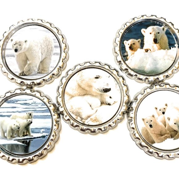 Polar Bears Magnet Set - Picture 1 of 1